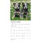 Plato; Chiots | 2027 12 x 24 Inch (Hanging) Monthly Square Wall Calendar | French Language; Category:Wall Calendars; Image:5